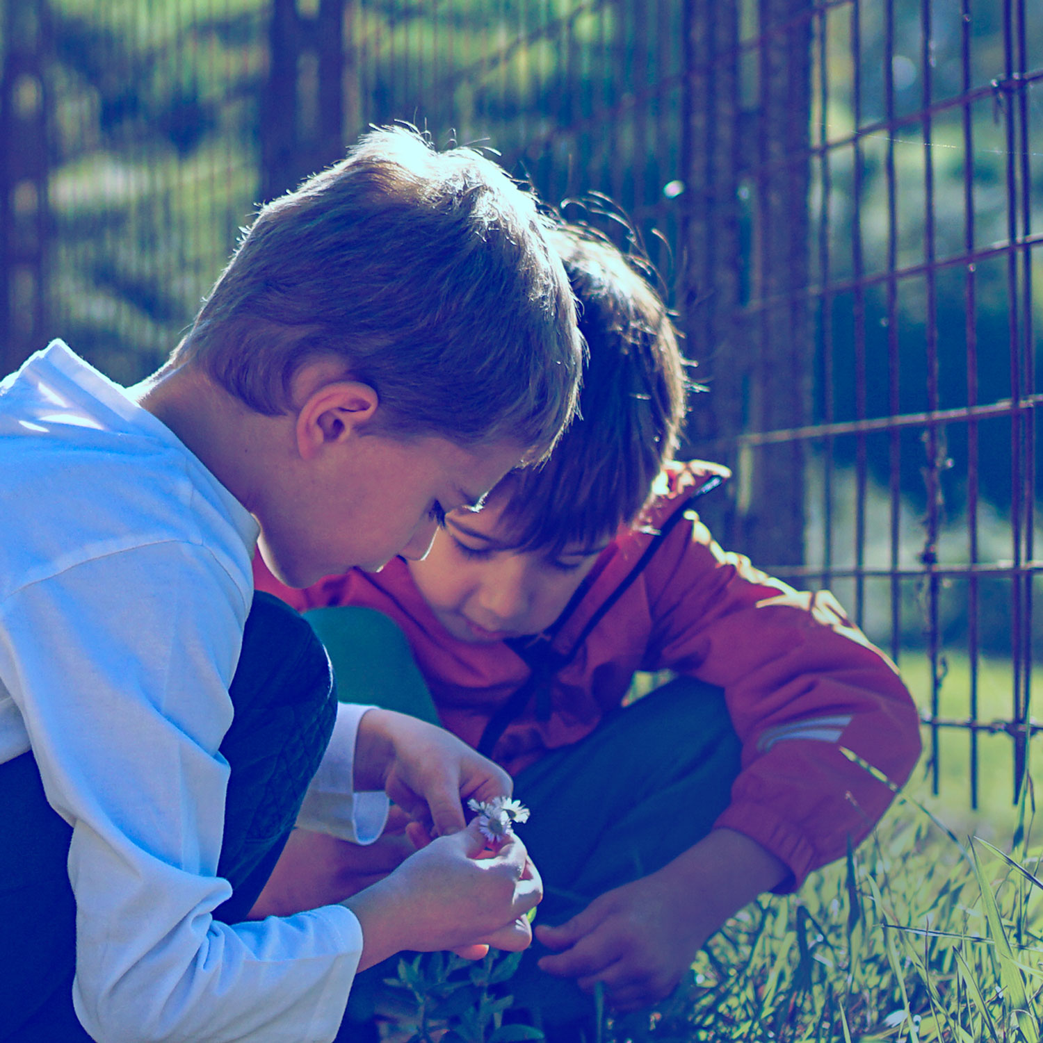 Due bambini osservano insieme un fiore